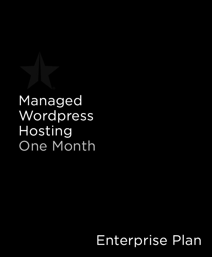 Monthly Managed Hosting Subscription Enterprise Level