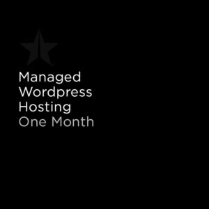 Monthly Managed Hosting Subscription Gold Level