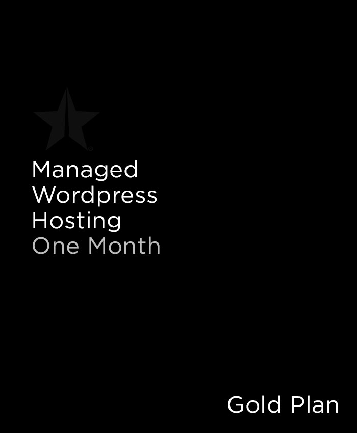 Monthly Managed Hosting Subscription Gold Level
