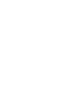 Limitless Enterprises