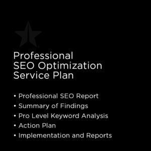 Professional SEO Optimization Service Plan
